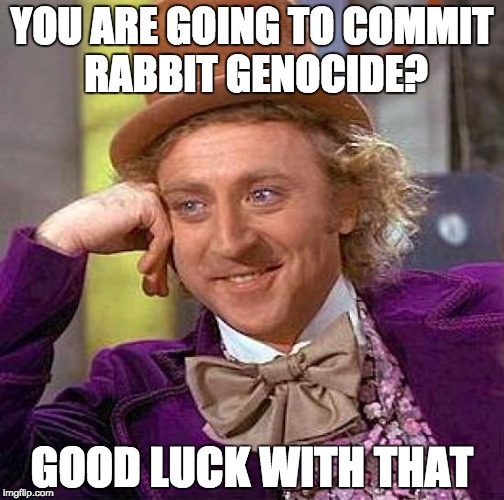 Creepy Condescending Wonka | YOU ARE GOING TO COMMIT RABBIT GENOCIDE? GOOD LUCK WITH THAT | image tagged in memes,creepy condescending wonka | made w/ Imgflip meme maker
