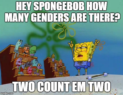 Genders | HEY SPONGEBOB HOW MANY GENDERS ARE THERE? TWO COUNT EM TWO | image tagged in triggered,gender,spongebob,two | made w/ Imgflip meme maker