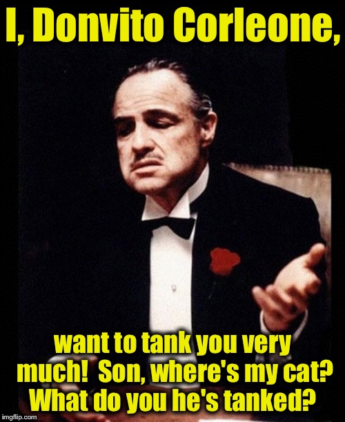 I, Donvito Corleone, want to tank you very much!  Son, where's my cat? What do you he's tanked? | made w/ Imgflip meme maker