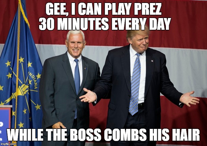 Trump and Pence share Presidency | GEE, I CAN PLAY PREZ 30 MINUTES
EVERY DAY; WHILE THE BOSS COMBS HIS HAIR | image tagged in donald trumph hair,mike pence | made w/ Imgflip meme maker
