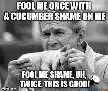 FOOL ME ONCE WITH A CUCUMBER SHAME ON ME; FOOL ME SHAME, UH, TWICE. THIS IS GOOD! | image tagged in memes | made w/ Imgflip meme maker