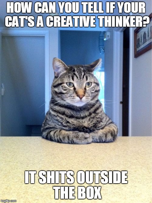 Take A Seat Cat | HOW CAN YOU TELL IF YOUR CAT'S A CREATIVE THINKER? IT SHITS OUTSIDE THE BOX | image tagged in memes,take a seat cat | made w/ Imgflip meme maker