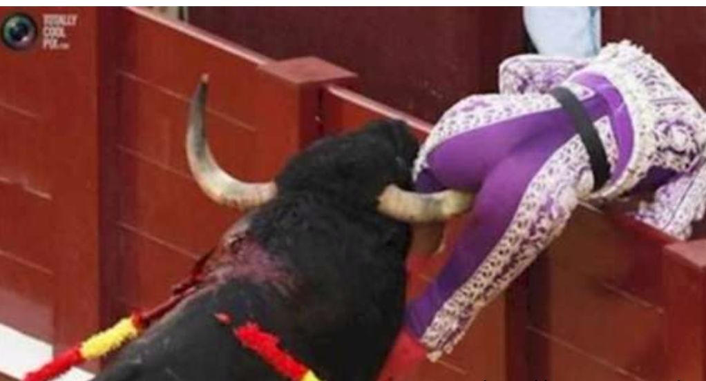 Bullfighter  Blank Meme Template