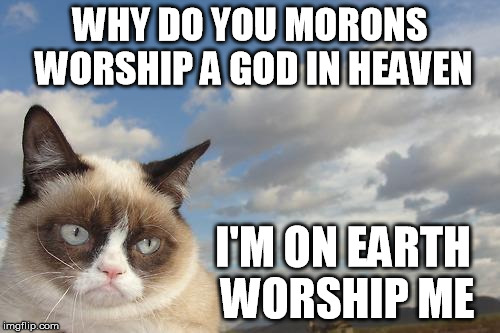 worship me | WHY DO YOU MORONS WORSHIP A GOD IN HEAVEN; I'M ON EARTH WORSHIP ME | image tagged in memes,grumpy cat sky,grumpy cat,worship,god,praise | made w/ Imgflip meme maker