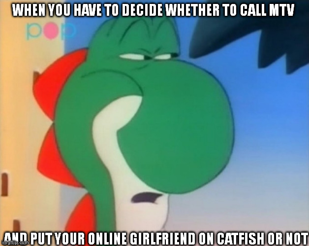 MTV Catfish where are you? | WHEN YOU HAVE TO DECIDE WHETHER TO CALL MTV; AND PUT YOUR ONLINE GIRLFRIEND ON CATFISH OR NOT | image tagged in yoshi | made w/ Imgflip meme maker