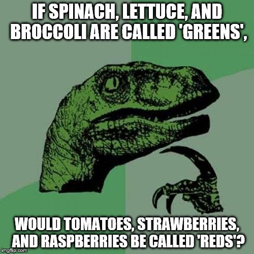 Philosoraptor | IF SPINACH, LETTUCE, AND BROCCOLI ARE CALLED 'GREENS', WOULD TOMATOES, STRAWBERRIES, AND RASPBERRIES BE CALLED 'REDS'? | image tagged in memes,philosoraptor | made w/ Imgflip meme maker