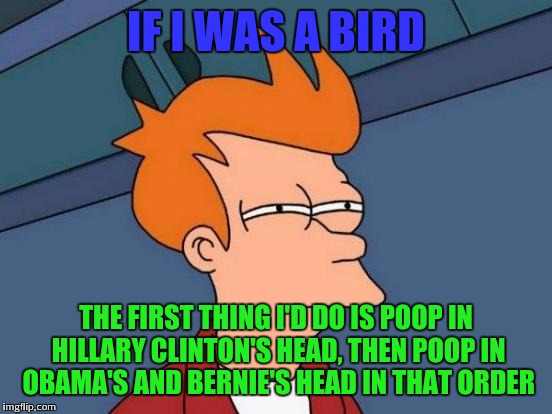 Get em birdies | IF I WAS A BIRD; THE FIRST THING I'D DO IS POOP IN HILLARY CLINTON'S HEAD, THEN POOP IN OBAMA'S AND BERNIE'S HEAD IN THAT ORDER | image tagged in memes,futurama fry | made w/ Imgflip meme maker