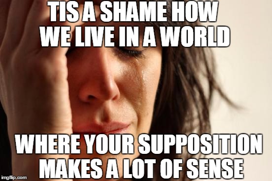 First World Problems Meme | TIS A SHAME HOW WE LIVE IN A WORLD WHERE YOUR SUPPOSITION MAKES A LOT OF SENSE | image tagged in memes,first world problems | made w/ Imgflip meme maker