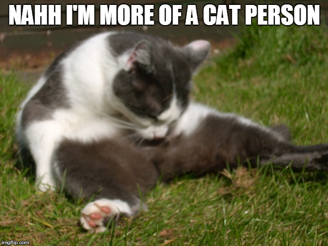 NAHH I'M MORE OF A CAT PERSON | made w/ Imgflip meme maker