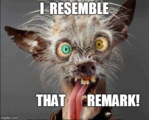 I  RESEMBLE THAT        REMARK! | made w/ Imgflip meme maker