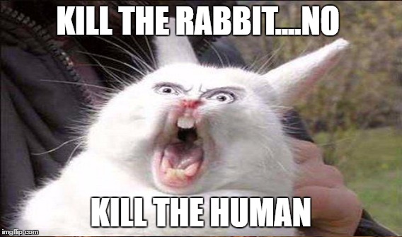 KILL THE RABBIT....NO KILL THE HUMAN | made w/ Imgflip meme maker