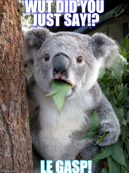 Surprised Koala Meme | WUT DID YOU JUST SAY!? LE GASP! | image tagged in memes,surprised koala | made w/ Imgflip meme maker