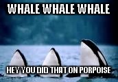 When you make two bad puns | WHALE WHALE WHALE; HEY YOU DID THAT ON PORPOISE | image tagged in whales,porpoise,puns,bad puns,memes,funny | made w/ Imgflip meme maker