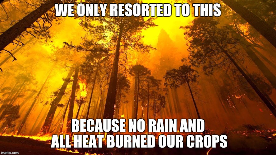 WE ONLY RESORTED TO THIS BECAUSE NO RAIN AND ALL HEAT BURNED OUR CROPS | made w/ Imgflip meme maker