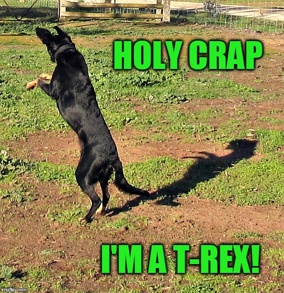 I'm T-Rex! | HOLY CRAP; I'M A T-REX! | image tagged in dog sees shadow | made w/ Imgflip meme maker