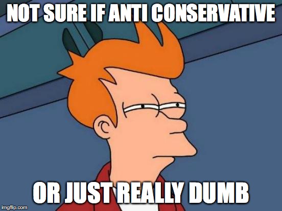 Futurama Fry Meme | NOT SURE IF ANTI CONSERVATIVE OR JUST REALLY DUMB | image tagged in memes,futurama fry | made w/ Imgflip meme maker