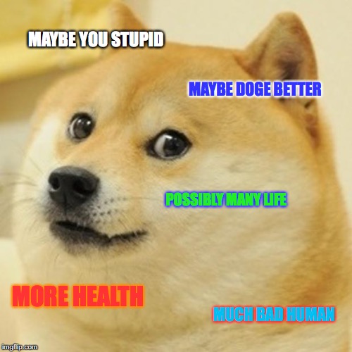 Doge Meme | MAYBE YOU STUPID MAYBE DOGE BETTER POSSIBLY MANY LIFE MORE HEALTH MUCH BAD HUMAN | image tagged in memes,doge | made w/ Imgflip meme maker