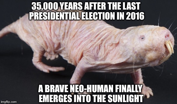Politically Induced Evolution | 35,000 YEARS AFTER THE LAST PRESIDENTIAL ELECTION IN 2016; A BRAVE NEO-HUMAN FINALLY EMERGES INTO THE SUNLIGHT | image tagged in memes | made w/ Imgflip meme maker