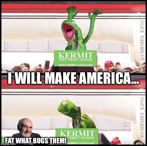 Unexpected guest on the Kermit campaign trail | I WILL MAKE AMERICA... EAT WHAT BUGS THEM! | image tagged in kermit will make america,memes,sean connery  kermit,election 2016,kermit vs connery | made w/ Imgflip meme maker