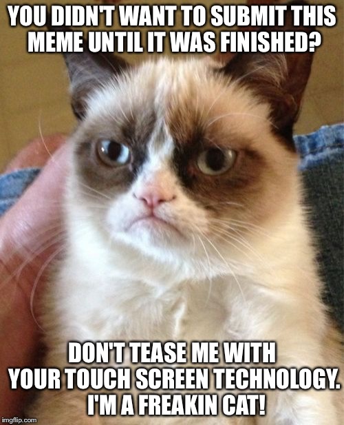 Grumpy Cat Meme | YOU DIDN'T WANT TO SUBMIT THIS MEME UNTIL IT WAS FINISHED? DON'T TEASE ME WITH YOUR TOUCH SCREEN TECHNOLOGY.  I'M A FREAKIN CAT! | image tagged in memes,grumpy cat | made w/ Imgflip meme maker
