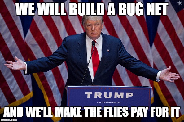 Trump Bruh | WE WILL BUILD A BUG NET AND WE'LL MAKE THE FLIES PAY FOR IT | image tagged in trump bruh | made w/ Imgflip meme maker