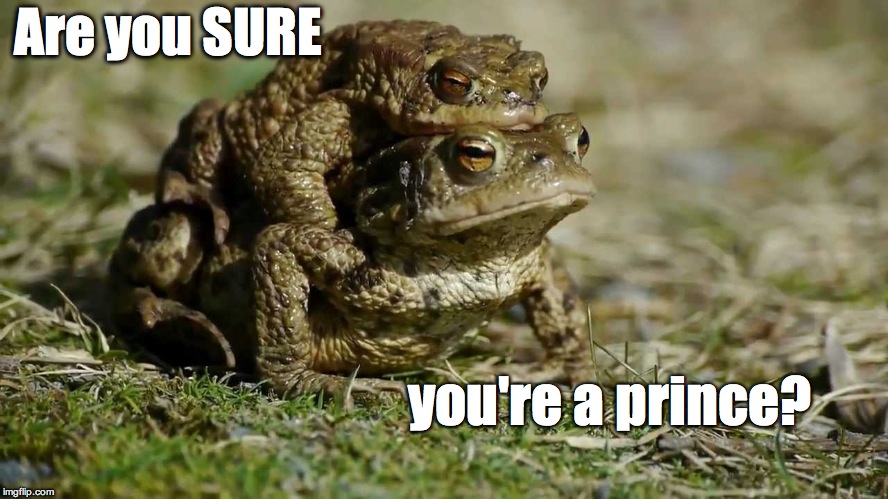 Are you SURE; you're a prince? | image tagged in animals,frogs,prince,pranks | made w/ Imgflip meme maker