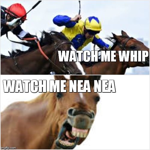 WATCH ME WHIP; WATCH ME NEA NEA | image tagged in horse face,whip nae nae | made w/ Imgflip meme maker