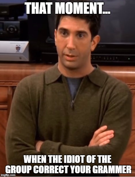 Ross Geller | THAT MOMENT... WHEN THE IDIOT OF THE GROUP CORRECT YOUR GRAMMER | image tagged in friends,ross geller | made w/ Imgflip meme maker