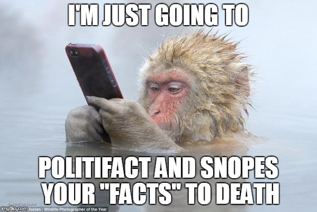 monkey snopes | I'M JUST GOING TO; POLITIFACT AND SNOPES YOUR "FACTS" TO DEATH | image tagged in monkey snopes | made w/ Imgflip meme maker