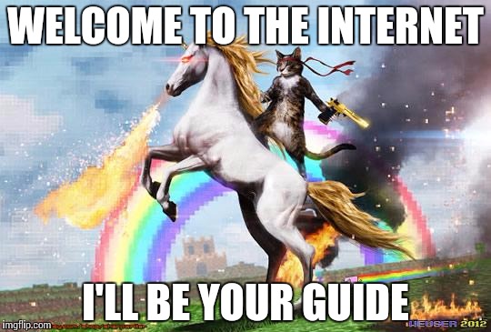 Cat riding unicorn |  WELCOME TO THE INTERNET; I'LL BE YOUR GUIDE | image tagged in cat riding unicorn | made w/ Imgflip meme maker
