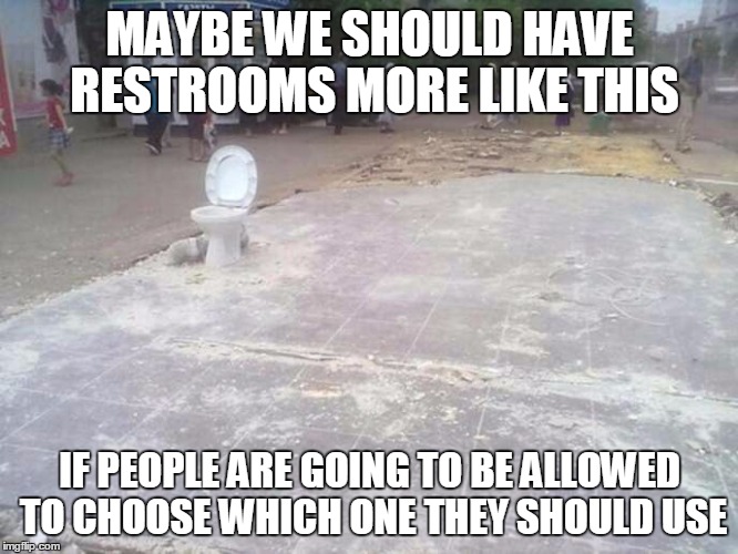 Would you feel comfortable using this one | MAYBE WE SHOULD HAVE RESTROOMS MORE LIKE THIS; IF PEOPLE ARE GOING TO BE ALLOWED TO CHOOSE WHICH ONE THEY SHOULD USE | image tagged in memes,transgender,public restrooms | made w/ Imgflip meme maker