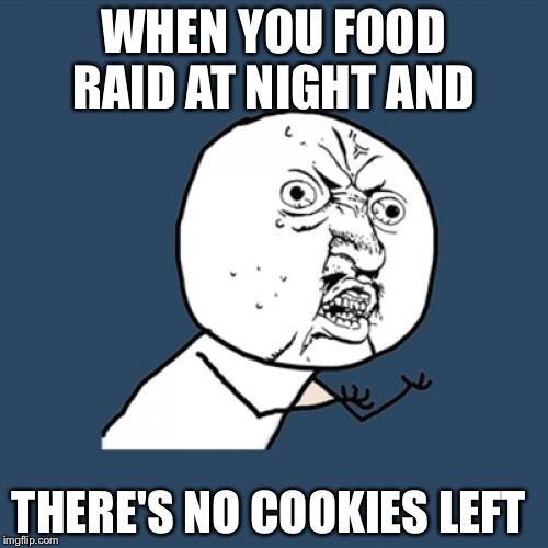Y U No | WHEN YOU FOOD RAID AT NIGHT AND; THERE'S NO COOKIES LEFT | image tagged in memes,y u no | made w/ Imgflip meme maker