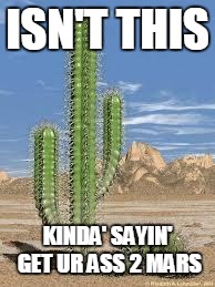 cactus |  ISN'T THIS; KINDA' SAYIN' GET UR ASS 2 MARS | image tagged in cactus | made w/ Imgflip meme maker