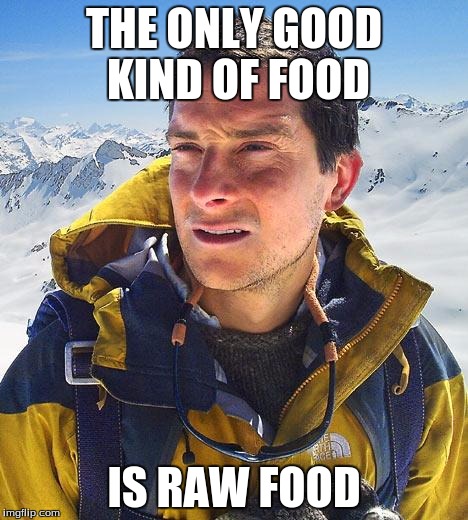 Bear Grylls Meme | THE ONLY GOOD KIND OF FOOD; IS RAW FOOD | image tagged in memes,bear grylls | made w/ Imgflip meme maker