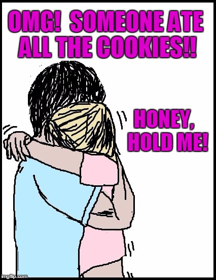 OMG!  SOMEONE ATE ALL THE COOKIES!! HONEY,  HOLD ME! | image tagged in hold me | made w/ Imgflip meme maker