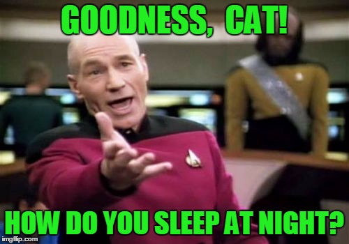 Picard Wtf Meme | GOODNESS,  CAT! HOW DO YOU SLEEP AT NIGHT? | image tagged in memes,picard wtf | made w/ Imgflip meme maker