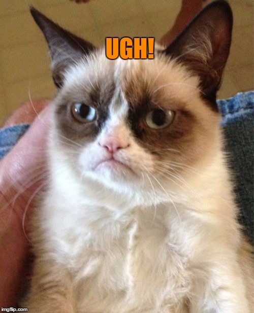 Grumpy Cat Meme | UGH! | image tagged in memes,grumpy cat | made w/ Imgflip meme maker