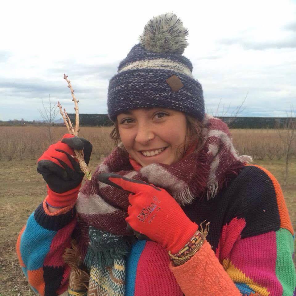 Sex or Bamboo Blank Meme Template