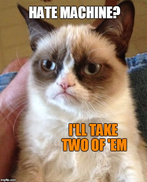 Grumpy Cat Meme | HATE MACHINE? I'LL TAKE TWO OF 'EM | image tagged in memes,grumpy cat | made w/ Imgflip meme maker