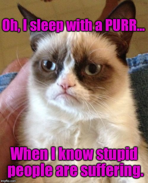 Grumpy Cat Meme | Oh, I sleep with a PURR... When I know stupid people are suffering. | image tagged in memes,grumpy cat | made w/ Imgflip meme maker