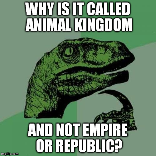 Philosoraptor | WHY IS IT CALLED ANIMAL KINGDOM; AND NOT EMPIRE OR REPUBLIC? | image tagged in memes,philosoraptor | made w/ Imgflip meme maker