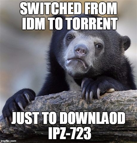 Confession Bear Meme | SWITCHED FROM IDM TO TORRENT; JUST TO DOWNLAOD IPZ-723 | image tagged in memes,confession bear | made w/ Imgflip meme maker