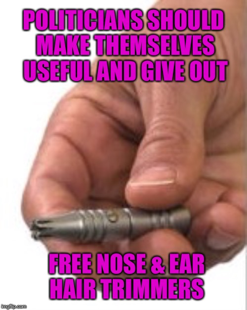 A Cheap, Practical Way To Improve Everyone's Quality Of Life | POLITICIANS SHOULD MAKE THEMSELVES USEFUL AND GIVE OUT; FREE NOSE & EAR HAIR TRIMMERS | image tagged in nose,politicians | made w/ Imgflip meme maker