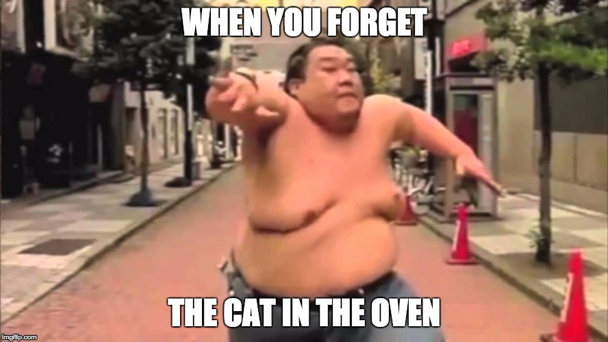 WHEN YOU FORGET; THE CAT IN THE OVEN | image tagged in imjustthatasion | made w/ Imgflip meme maker