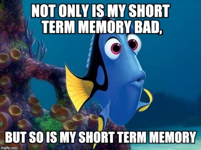 NOT ONLY IS MY SHORT TERM MEMORY BAD, BUT SO IS MY SHORT TERM MEMORY | image tagged in funny memes,dory from finding nemo | made w/ Imgflip meme maker