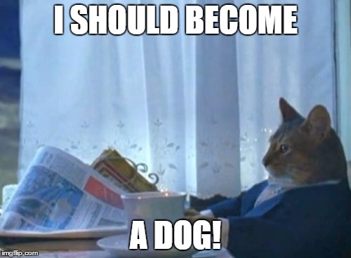 I Should Buy A Boat Cat Meme | I SHOULD BECOME; A DOG! | image tagged in memes,i should buy a boat cat,template quest,funny,dog,doge | made w/ Imgflip meme maker