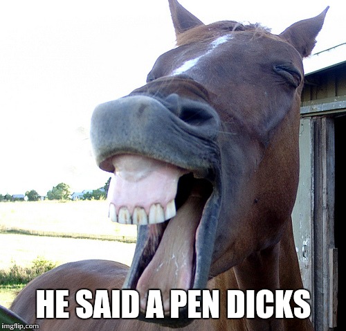 HE SAID A PEN DICKS | made w/ Imgflip meme maker