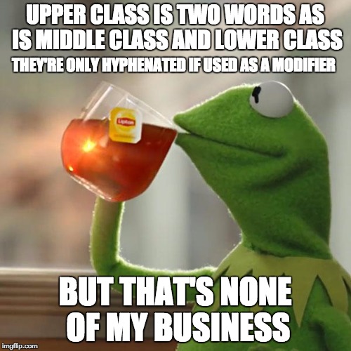 But That's None Of My Business Meme | UPPER CLASS IS TWO WORDS AS IS MIDDLE CLASS AND LOWER CLASS BUT THAT'S NONE OF MY BUSINESS THEY'RE ONLY HYPHENATED IF USED AS A MODIFIER | image tagged in memes,but thats none of my business,kermit the frog | made w/ Imgflip meme maker