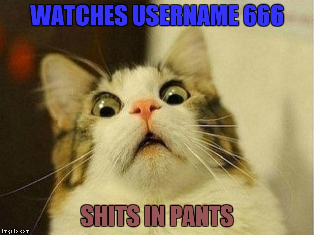 Scared Cat | WATCHES USERNAME 666; SHITS IN PANTS | image tagged in memes,scared cat | made w/ Imgflip meme maker