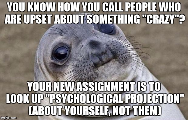 Awkward Moment Sealion Meme | YOU KNOW HOW YOU CALL PEOPLE WHO ARE UPSET ABOUT SOMETHING "CRAZY"? YOUR NEW ASSIGNMENT IS TO LOOK UP "PSYCHOLOGICAL PROJECTION" (ABOUT YOURSELF, NOT THEM) | image tagged in memes,awkward moment sealion | made w/ Imgflip meme maker